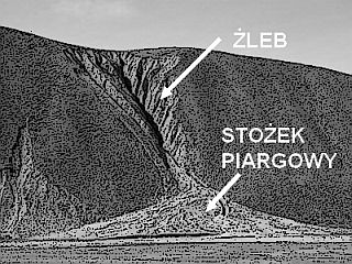 http://geografia_liceum.republika.pl/egzo/zleb.jpg