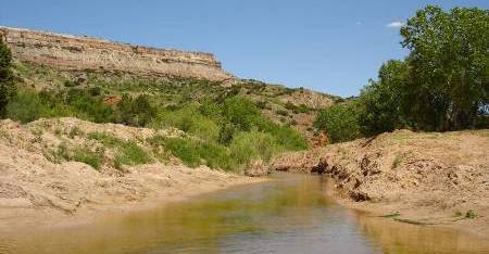 Kamion Palo Duro