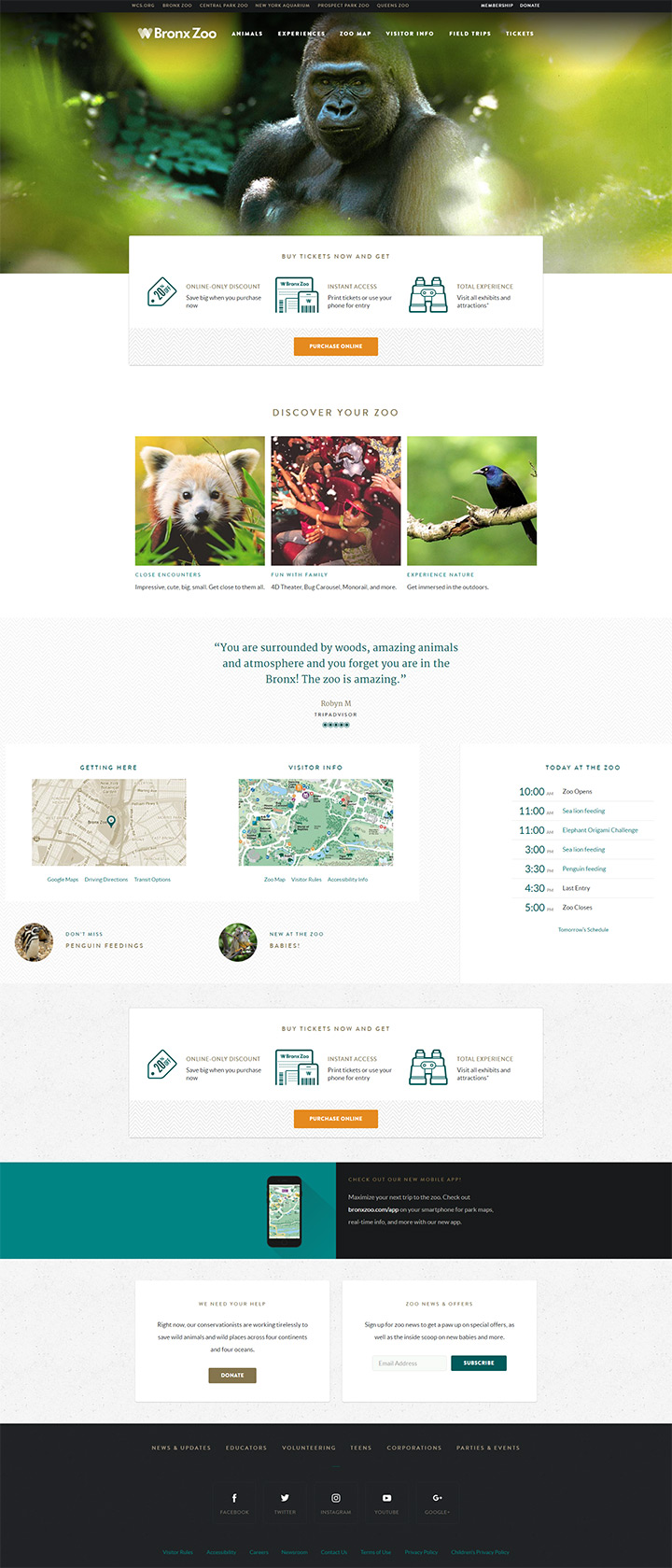 bronx zoo website