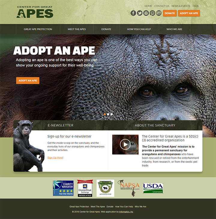 great ape sanctuary